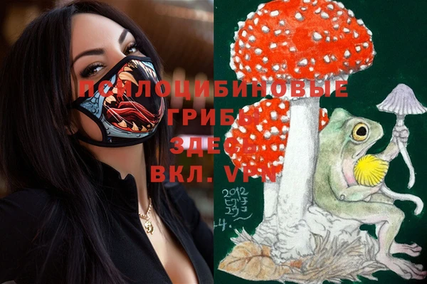 прущие крисы Иннополис