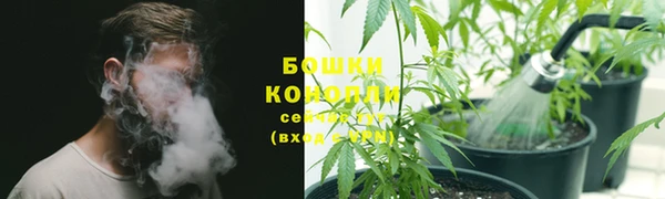 прущие крисы Иннополис