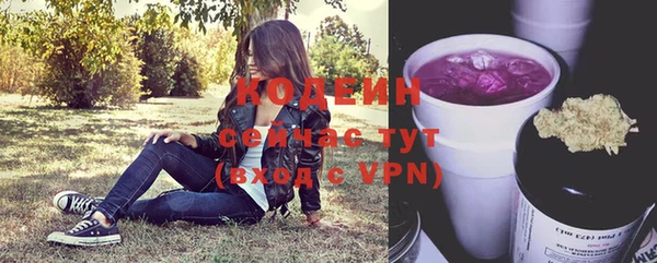 прущие крисы Иннополис