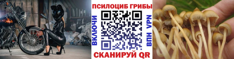 Галлюциногенные грибы Psilocybe  Инта 
